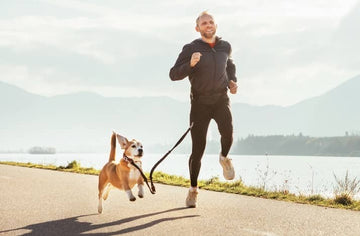 Canicross - Courir avec son chien - Nos conseils - Animojo.fr