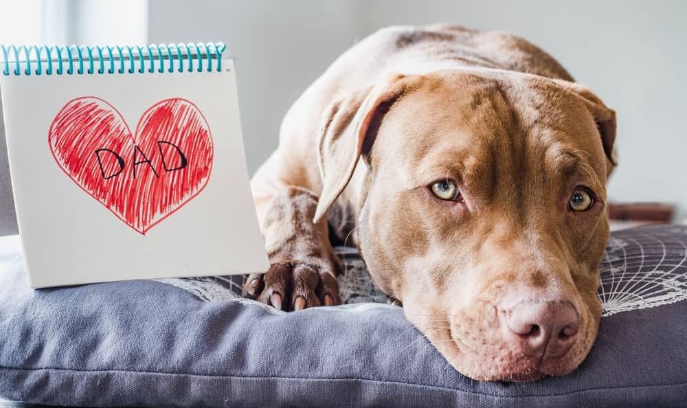16 idées cadeaux pour un ami qui a un chien