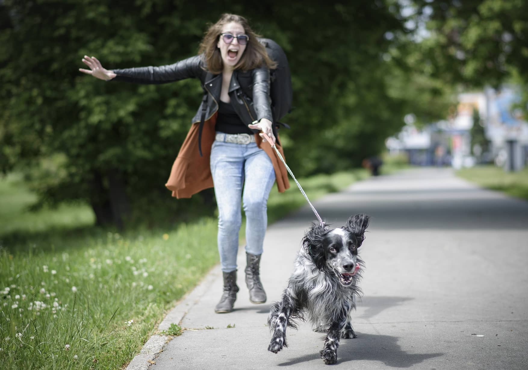 Comment apprendre à son chien à marcher en laisse ?