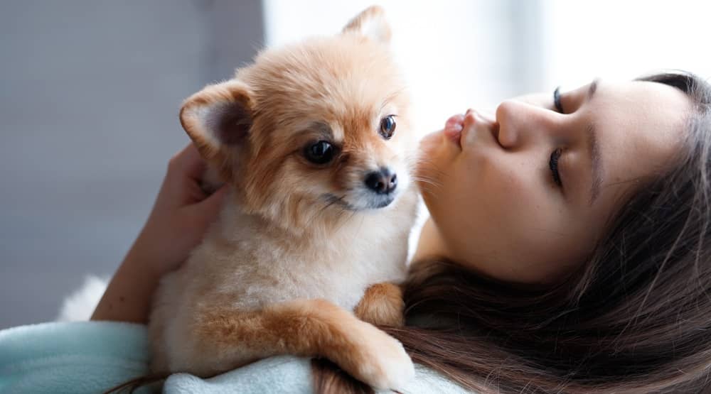 Pourquoi votre chien penche-t-il sa tête sur le côté ? 