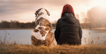 Comment calculer l’âge humain de son chien / animal ? - Animojo